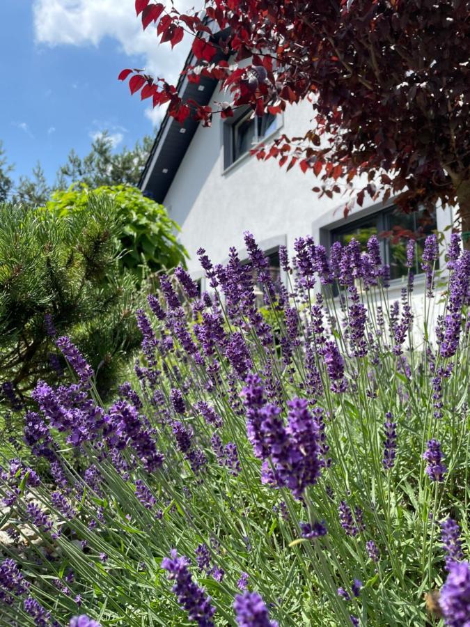 Hortus Apartament Z Klimatyzacja 볼레스와비에츠 외부 사진