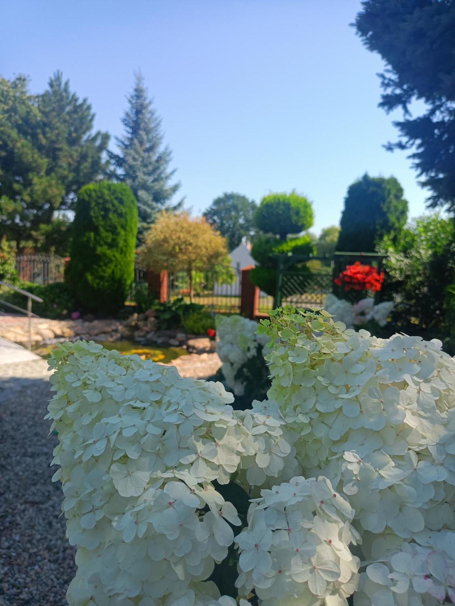Hortus Apartament Z Klimatyzacja 볼레스와비에츠 외부 사진
