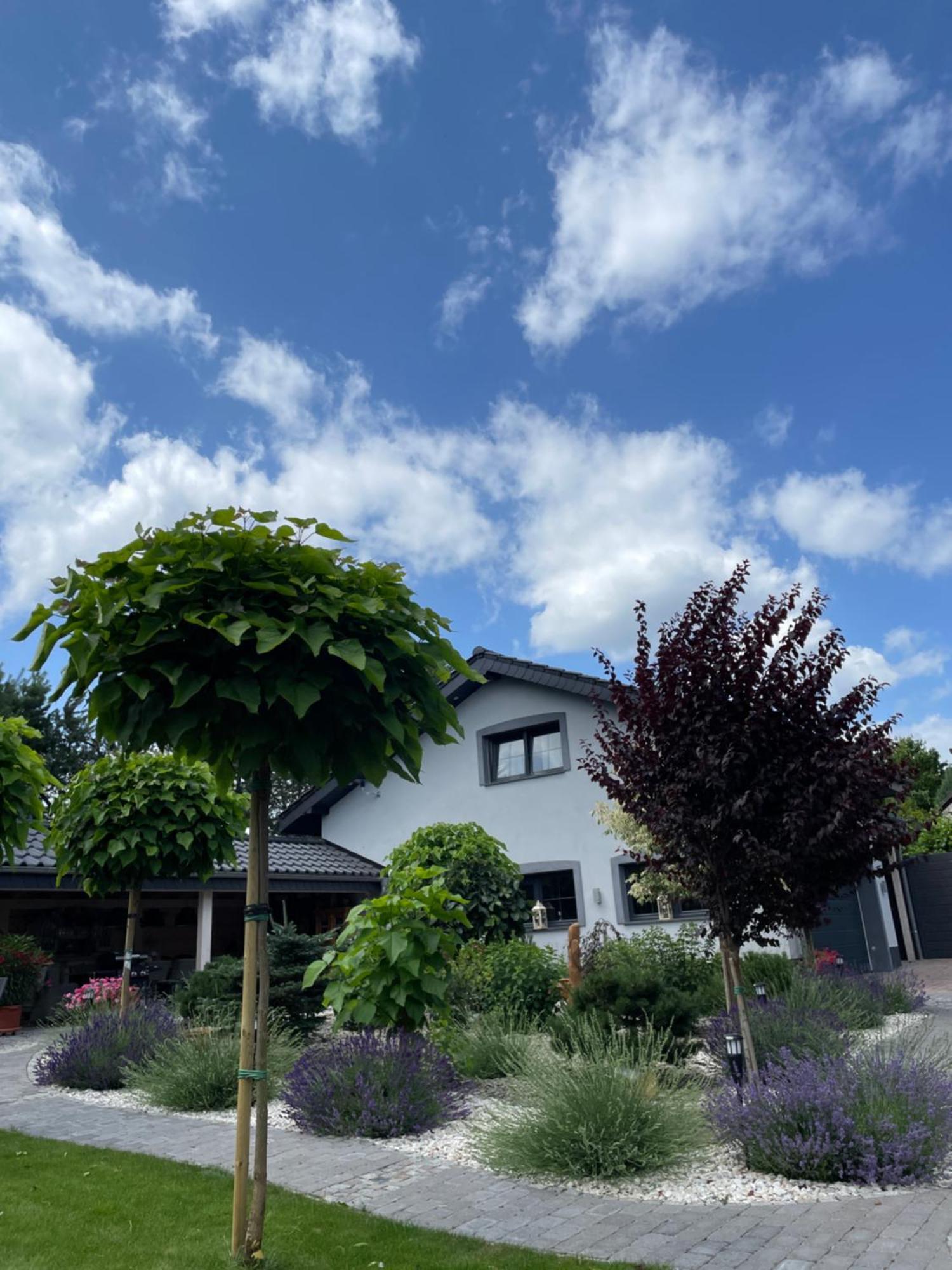 Hortus Apartament Z Klimatyzacja 볼레스와비에츠 외부 사진